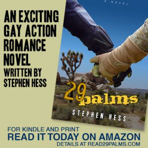 Novel 29 Palms by Steven Hess