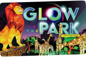 Glow in the Park