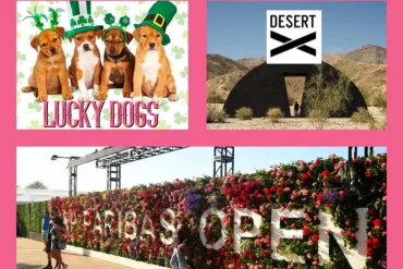 Gay Desert Guide Weekend: Mar. 3-5, 2023