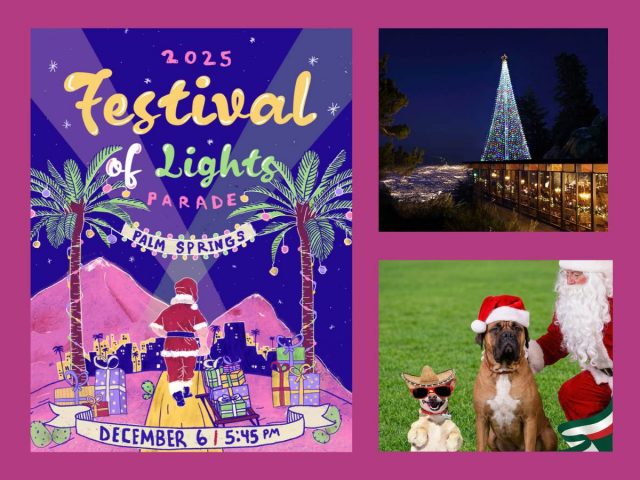 Gay Desert Guide Weekend Dec-5-7-2025